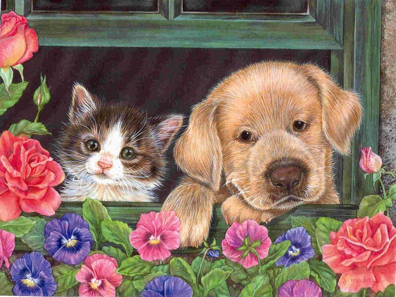 Kitten and Puppy in Window — Pink