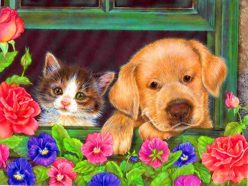 Kitten and Puppy in Window