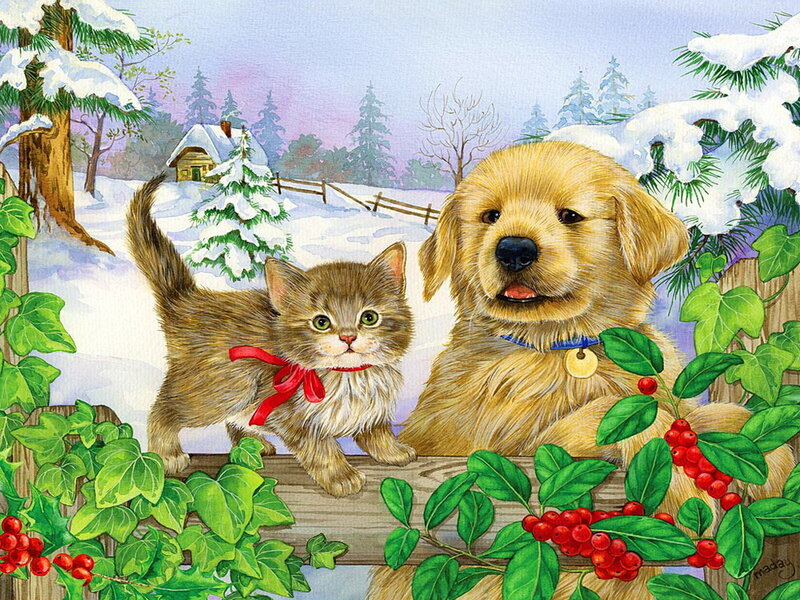 Kitten and Puppy in Winter