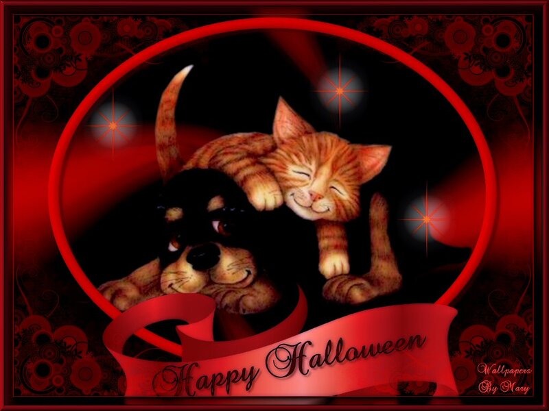 Kitten and Puppy — Red