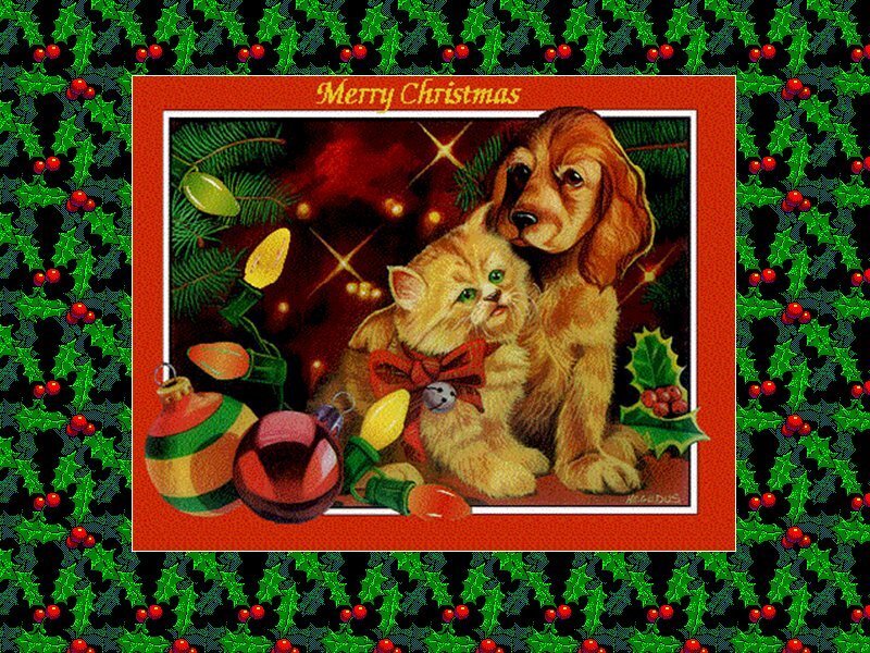 Kitten and Puppy Together — Green