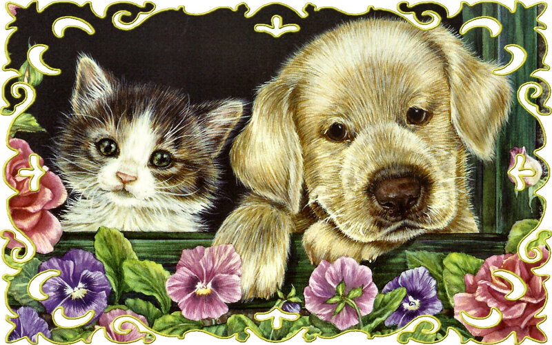 Kitten and Puppy Together — Purple