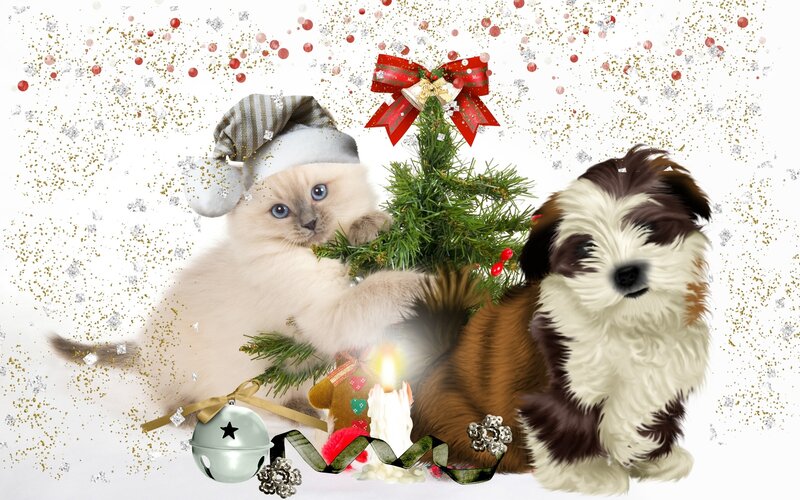 Kitten and Puppy with Tree — White