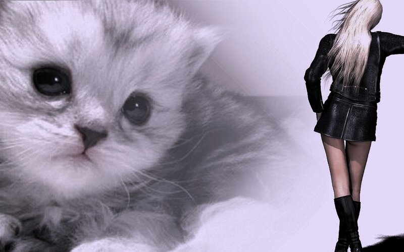 kitten and woman in leather