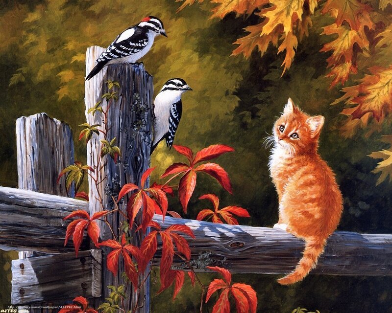 Kitten and woodpeckers in autumn
