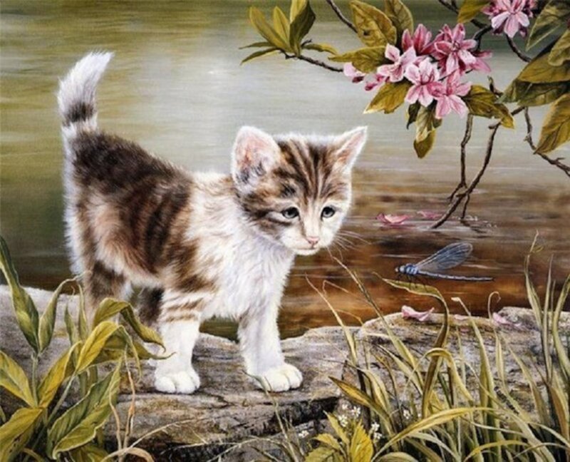 Kitten by a Pond
