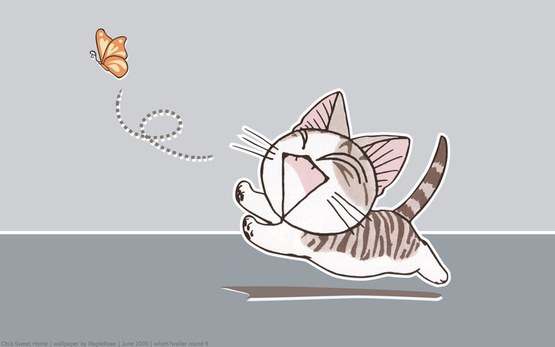 kitten chasing butterfly