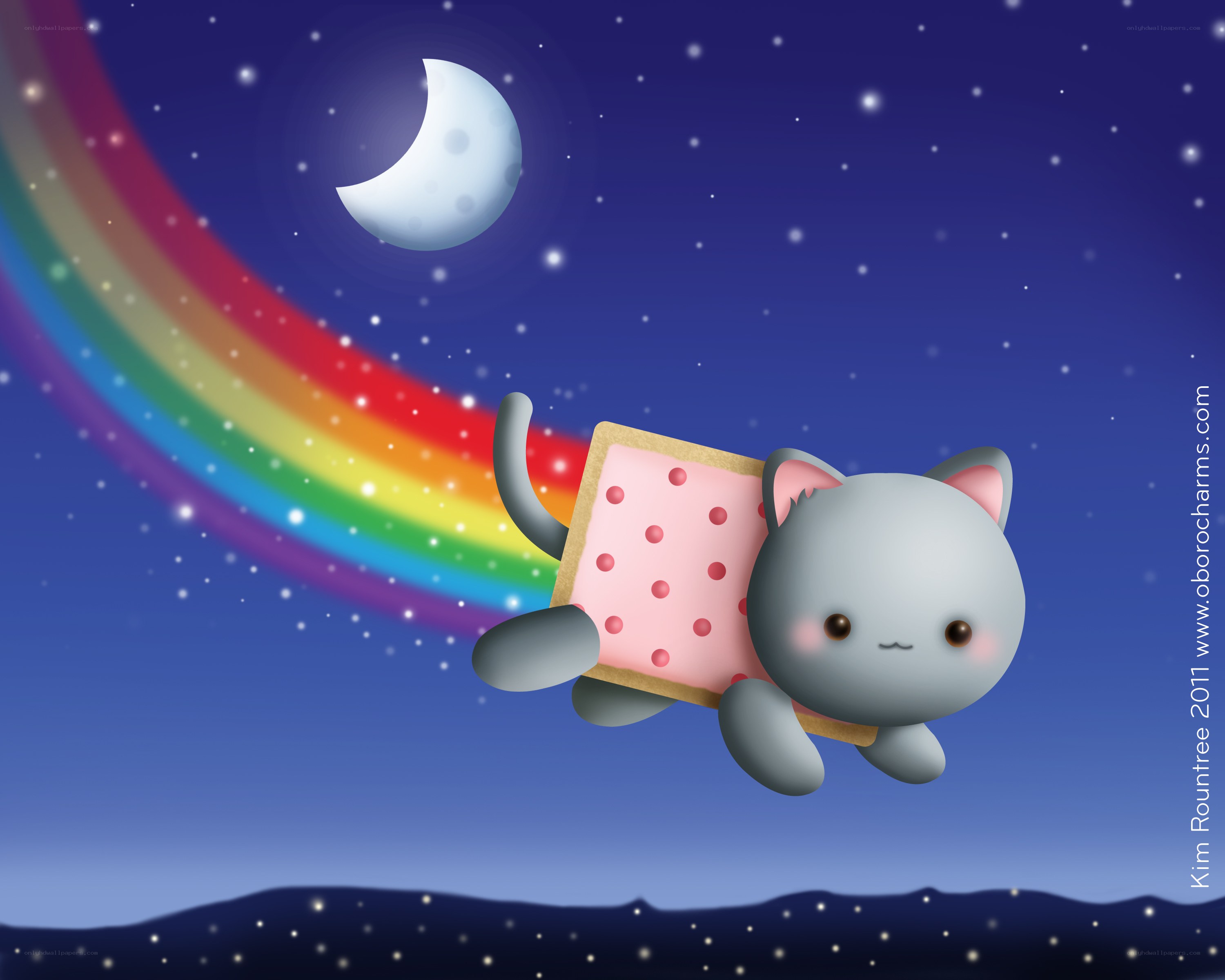 kitten flying with rainbow