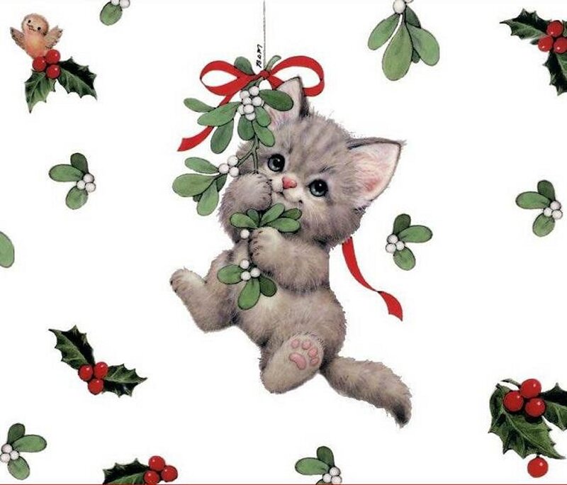 Kitten Hanging from Mistletoe