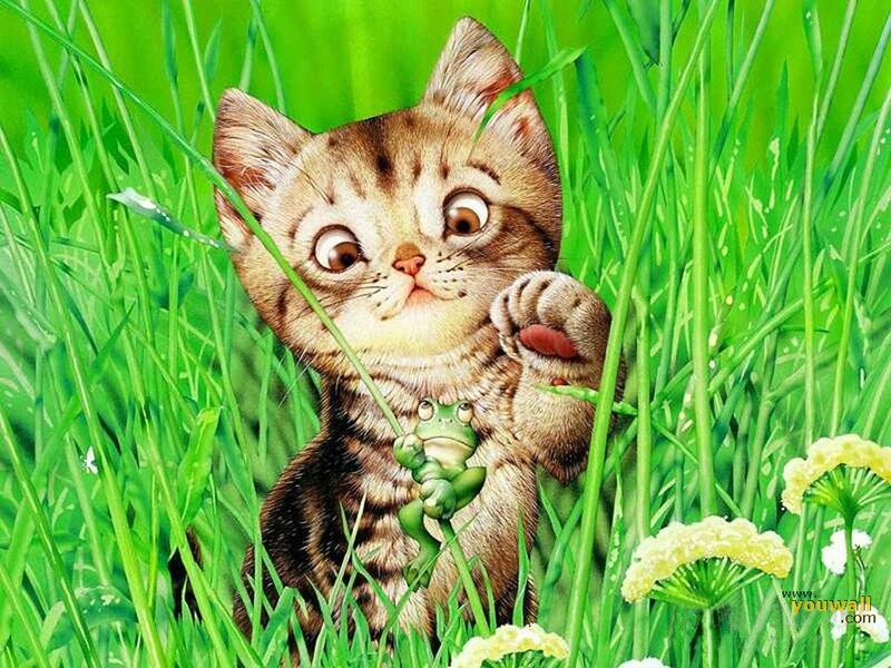 Kitten Holding Frog
