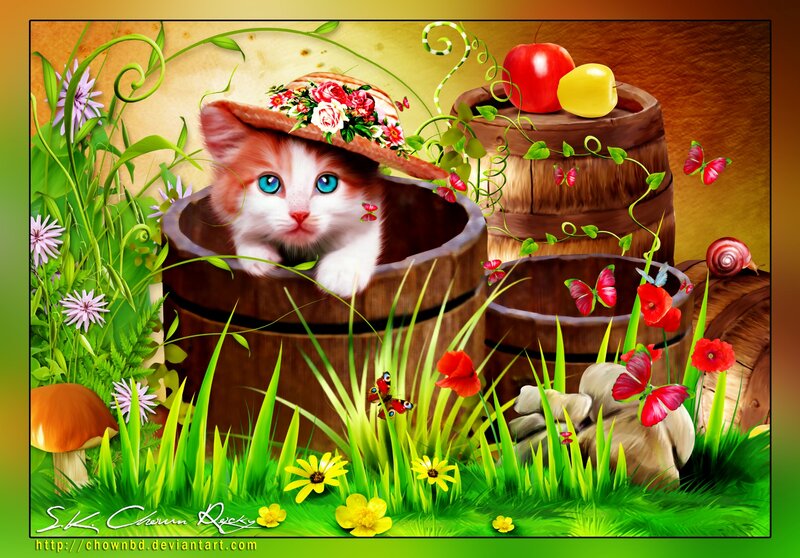 Kitten in a Barrel