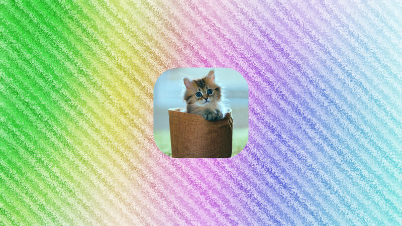 Kitten in a Basket — Green, Playful
