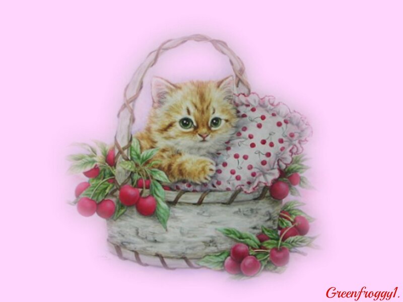 Kitten in a Basket — Pink