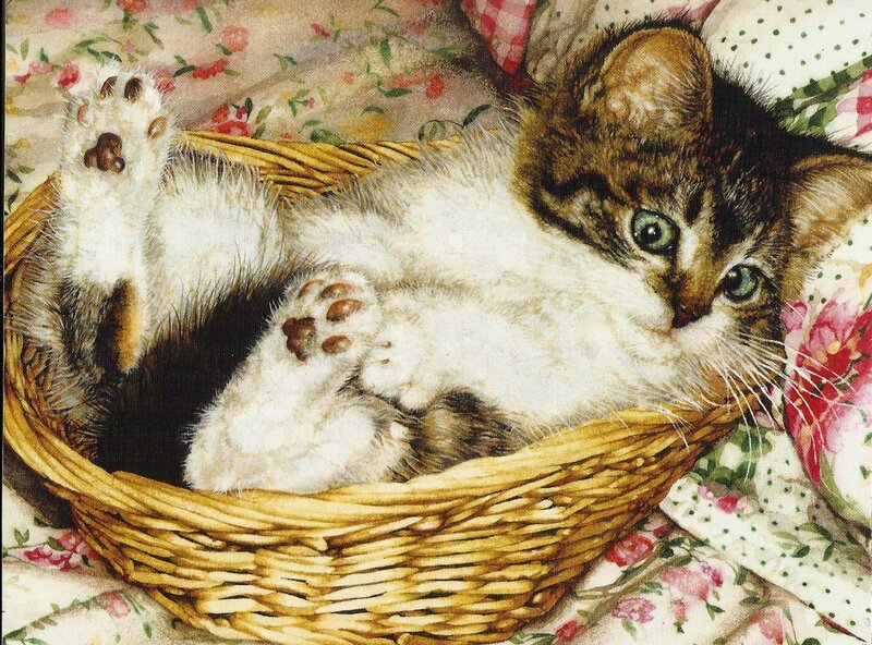 Kitten in a Basket — White