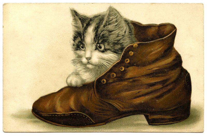 Kitten in a Boot — Brown