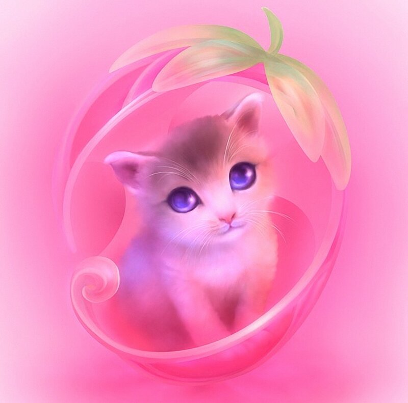 Kitten in a Bubble