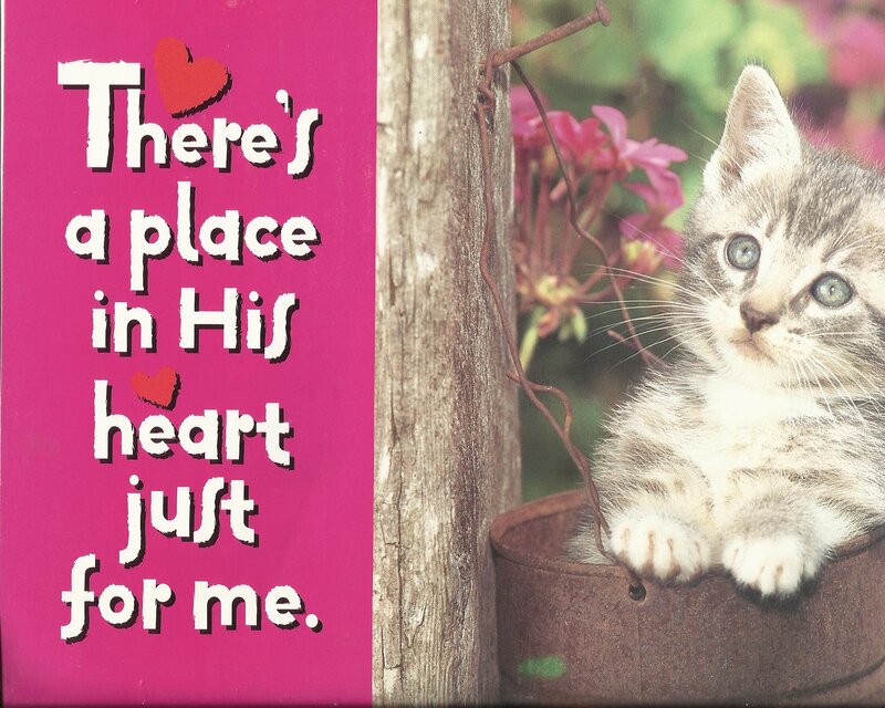 Kitten in a Bucket — Pink