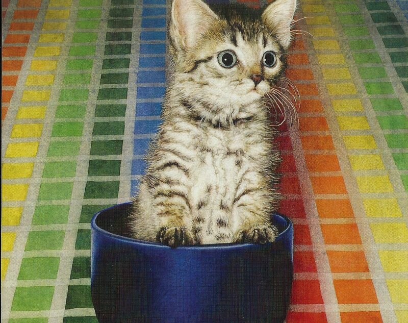 Kitten in a Cup — Blue
