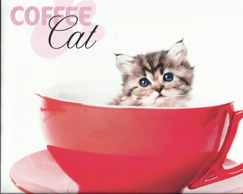 Kitten in a Cup — Red