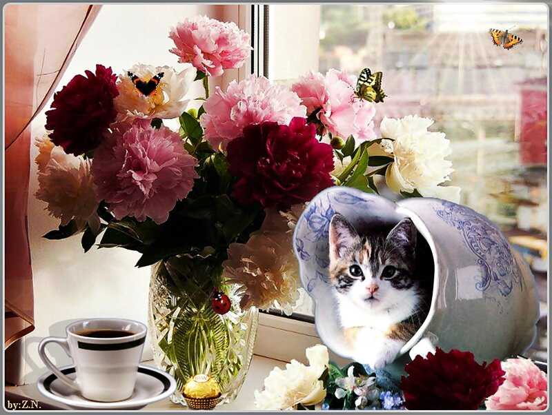 Kitten in a Teacup — Pink