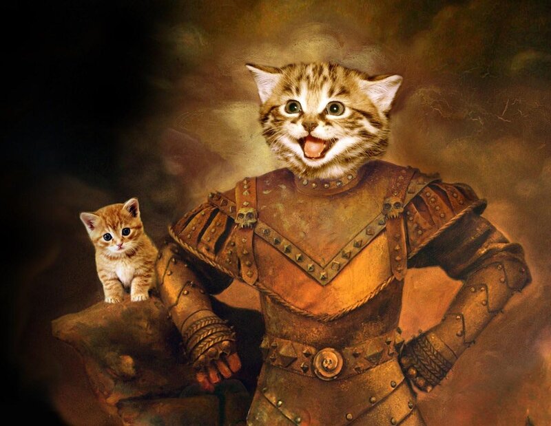 Kitten in Armor — Brown, Dramatic