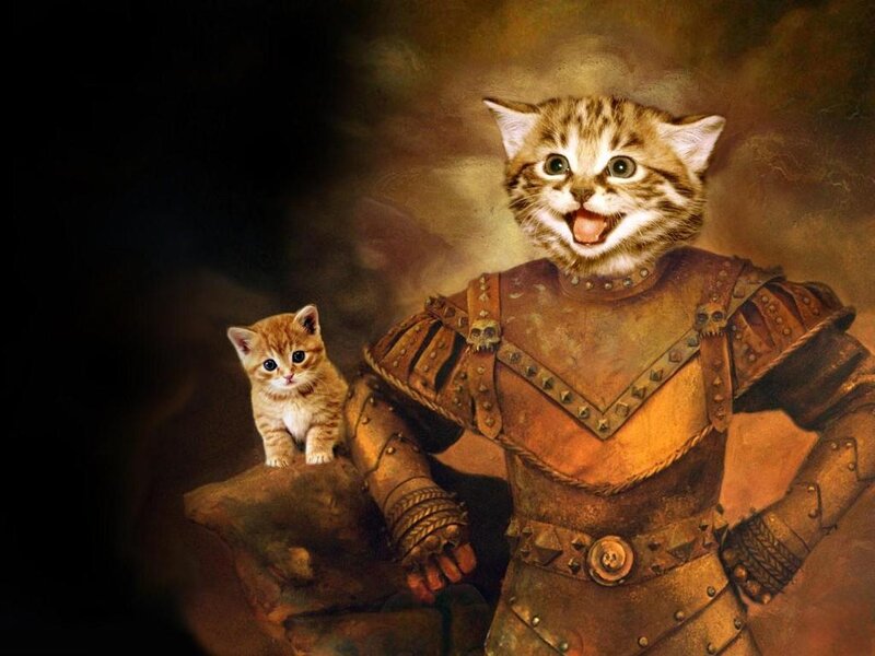 Kitten in Armor