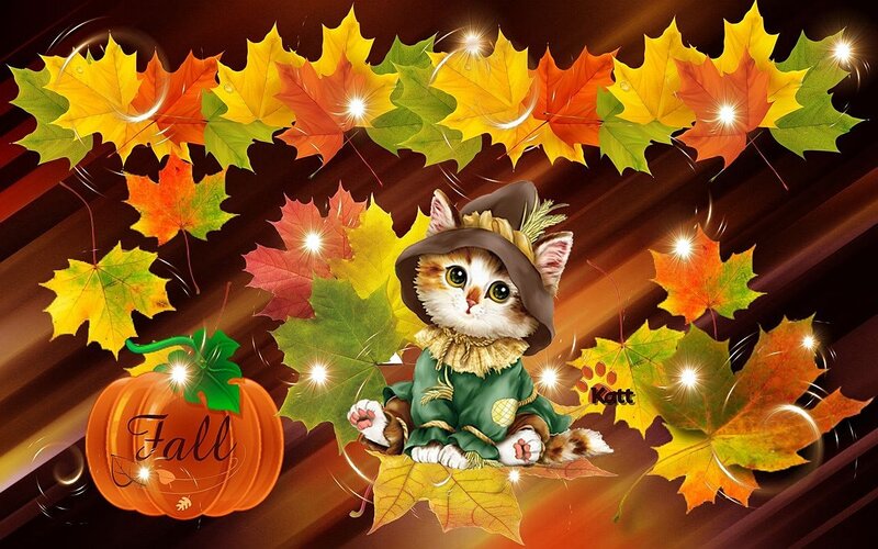 Kitten in Autumn Costume
