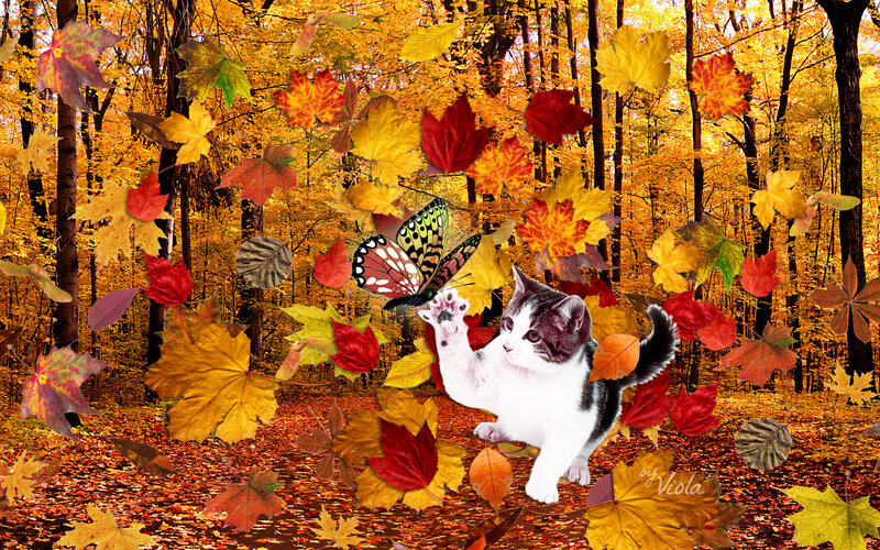 Kitten in Autumn Forest — Yellow