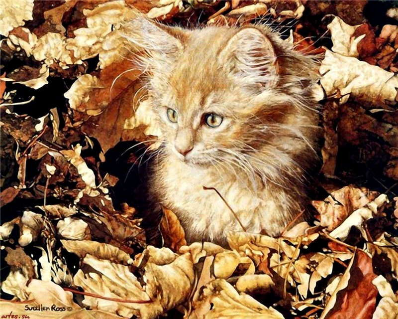 kitten in autumn leaves