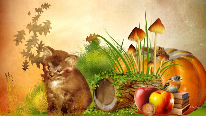 Kitten in Autumn Scene