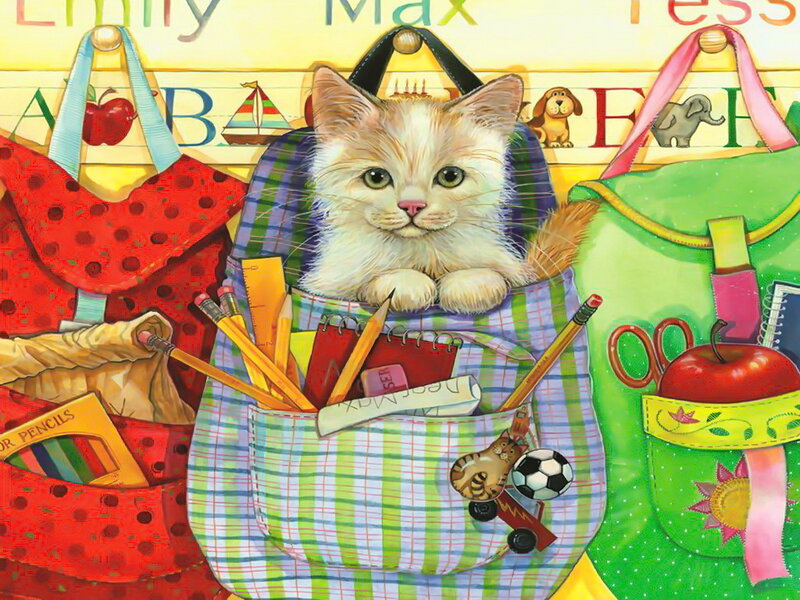 Kitten in Backpack