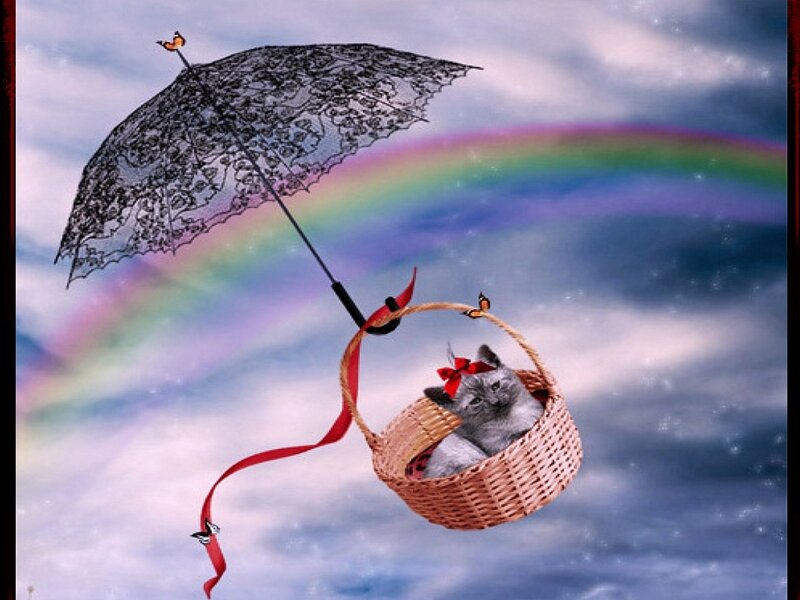 Kitten in Basket — Blue