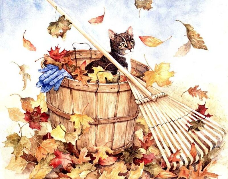 Kitten in Basket — Brown, Calm, Autumn, Illustration
