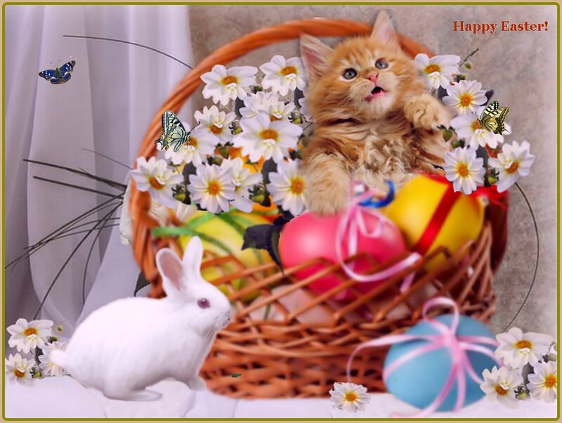 Kitten in Basket — Brown, Festive