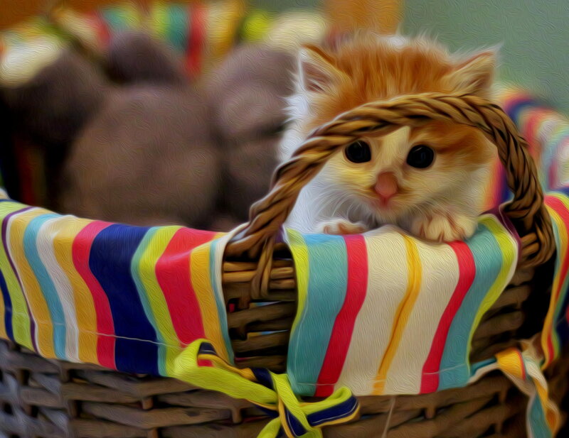 Kitten in Basket — White, Calm, Digital Art