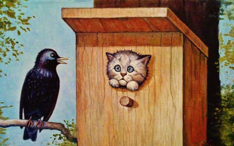 Kitten in Birdhouse