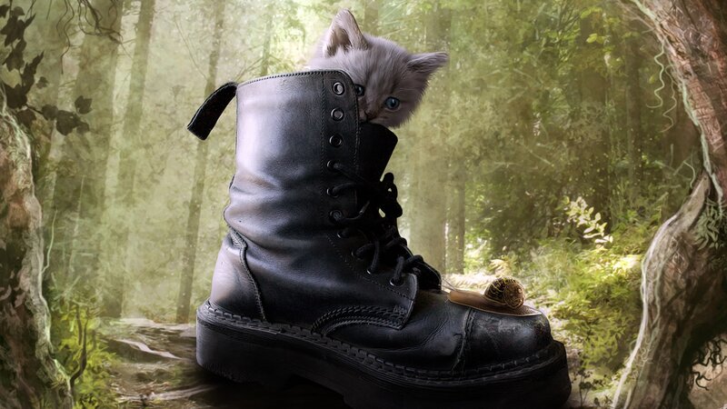 Kitten in Boot — Black, Whimsical