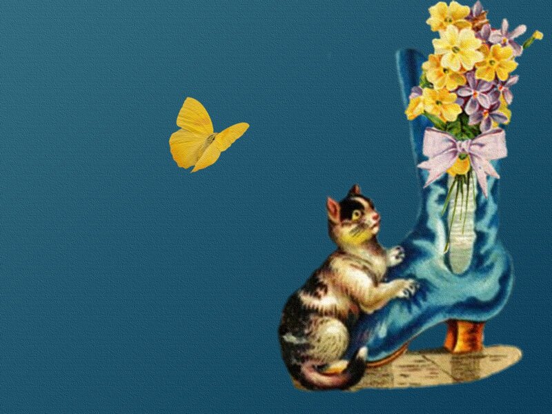 Kitten in Boot — Blue