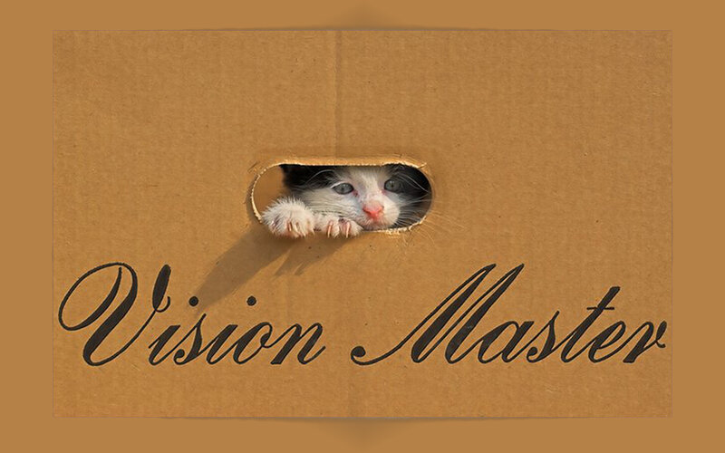 kitten in cardboard box