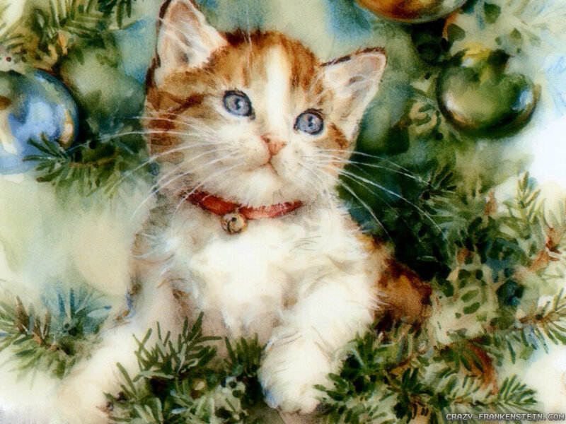 Kitten in Christmas Tree