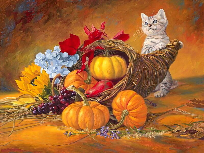 Kitten in Cornucopia — Orange