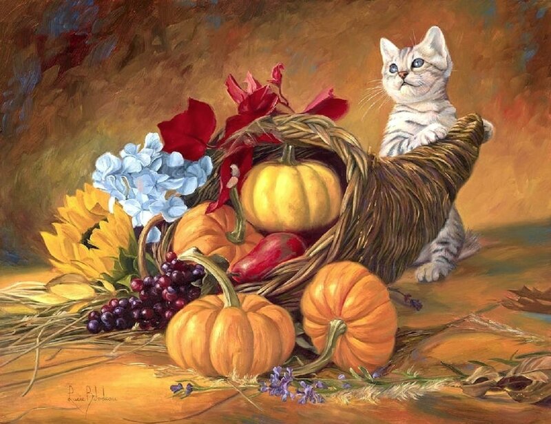 Kitten in Cornucopia