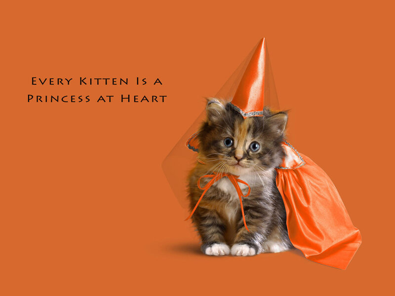 Kitten in Costume