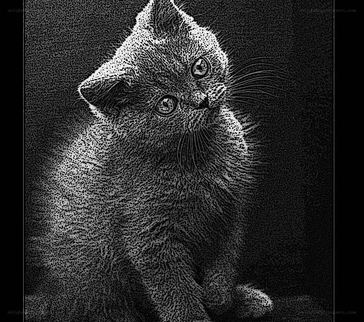 kitten in dot art style