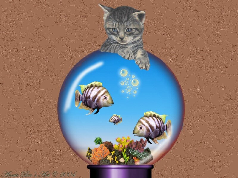 Kitten in Fishbowl