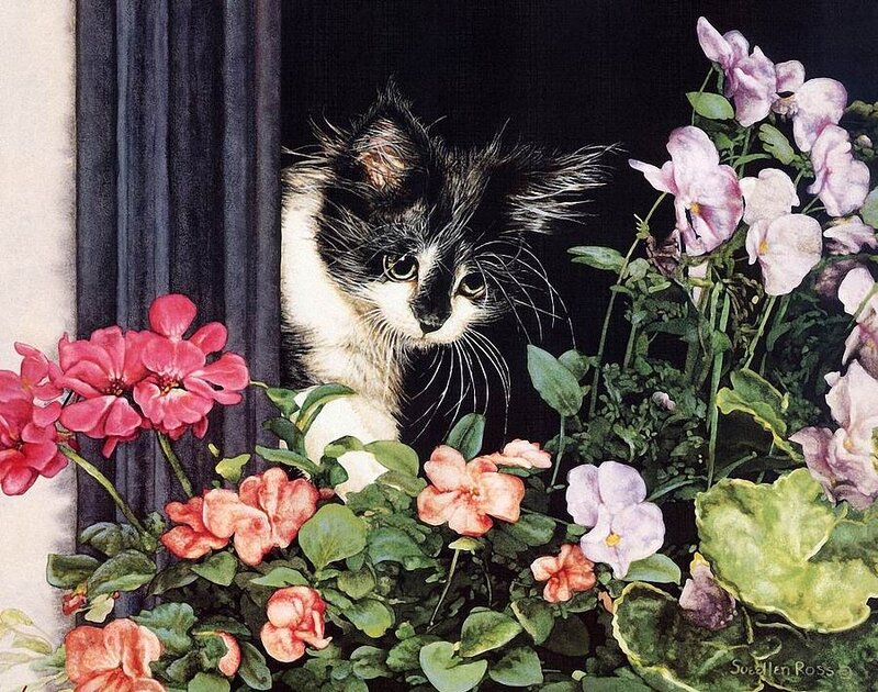 Kitten in Flower Box
