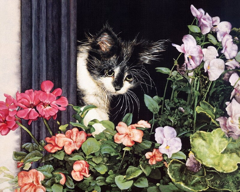 Kitten in Flowers — Pink