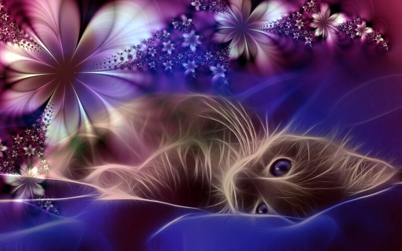 Kitten in Fractal Flowers