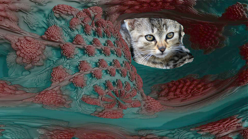 Kitten in Fractal Tunnel