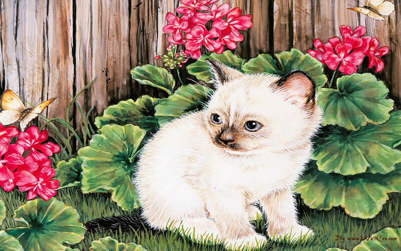Kitten in Garden — Green, Serene, Spring